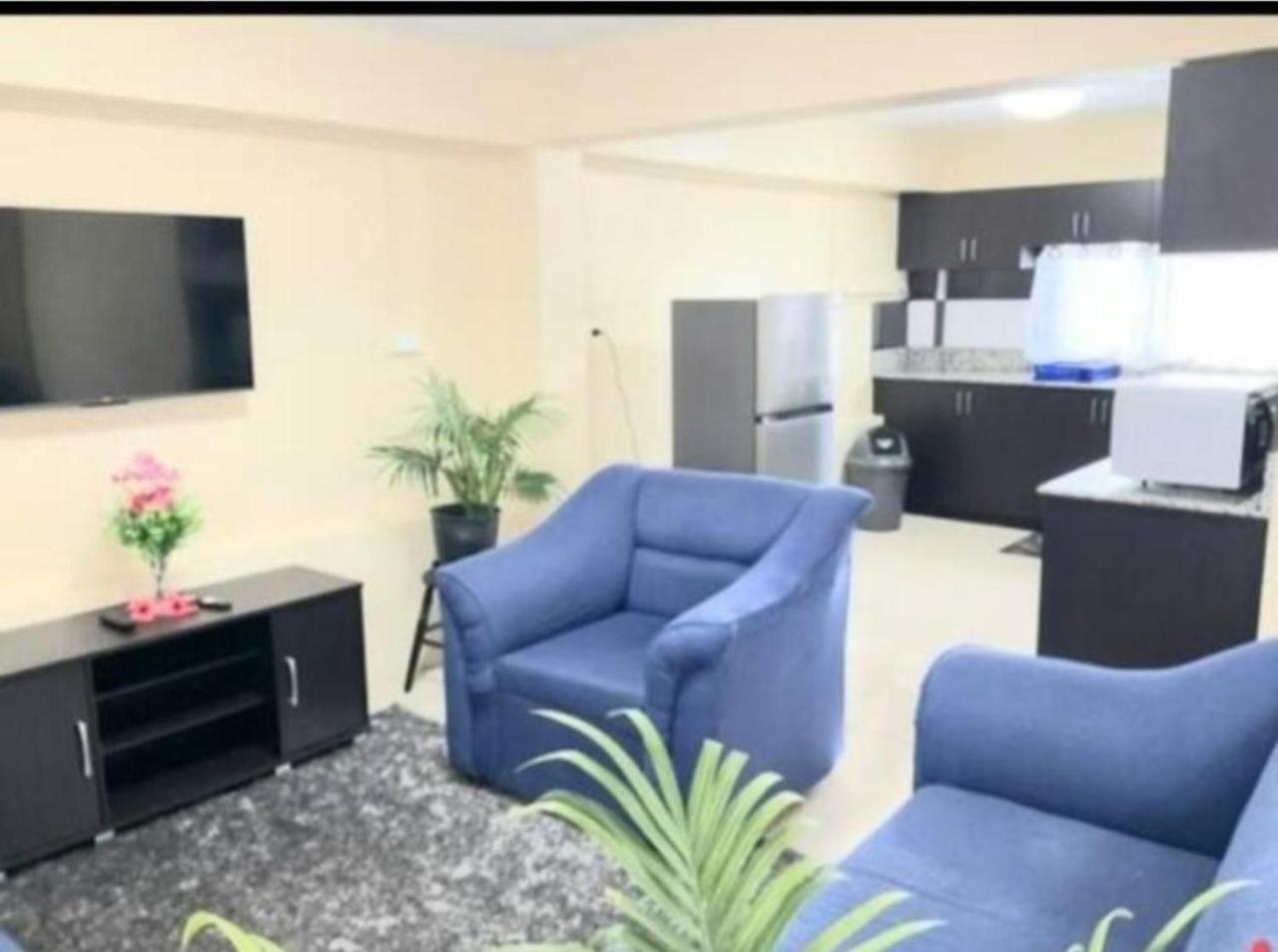 Singhs Elite Apartment ナンディ エクステリア 写真