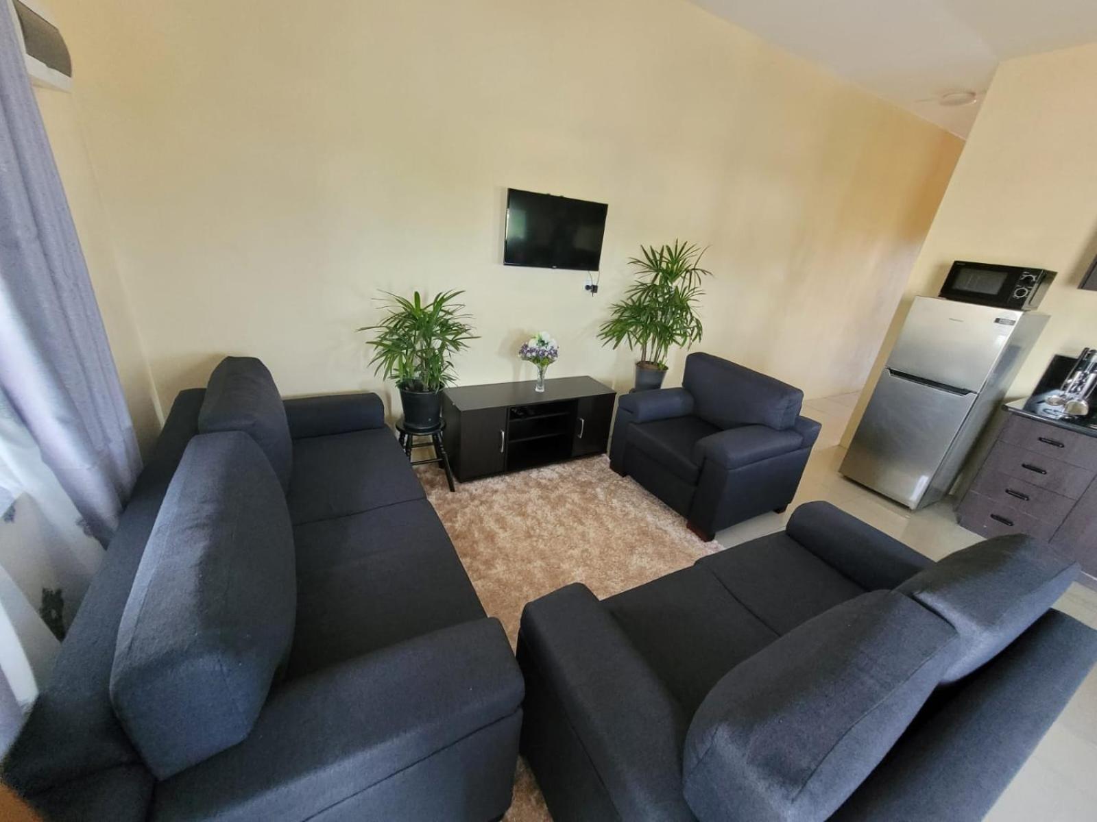 Singhs Elite Apartment ナンディ エクステリア 写真